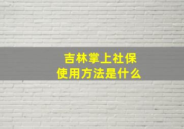 吉林掌上社保使用方法是什么