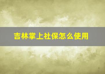 吉林掌上社保怎么使用