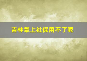 吉林掌上社保用不了呢