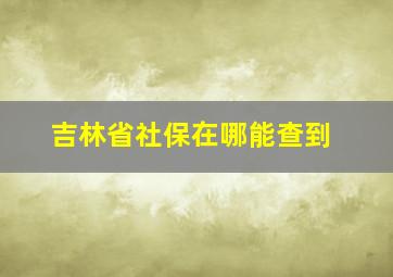 吉林省社保在哪能查到