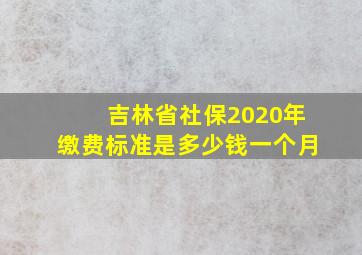 吉林省社保2020年缴费标准是多少钱一个月