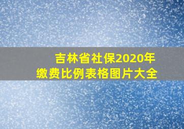 吉林省社保2020年缴费比例表格图片大全