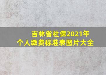 吉林省社保2021年个人缴费标准表图片大全