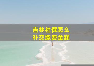 吉林社保怎么补交缴费金额