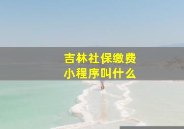 吉林社保缴费小程序叫什么