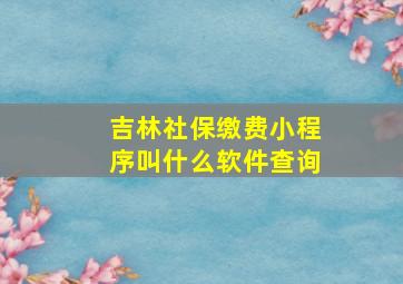 吉林社保缴费小程序叫什么软件查询