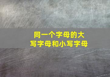 同一个字母的大写字母和小写字母