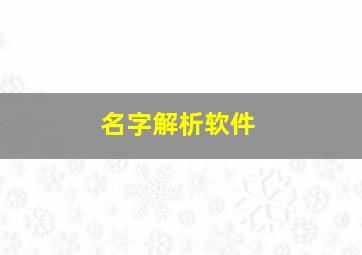 名字解析软件