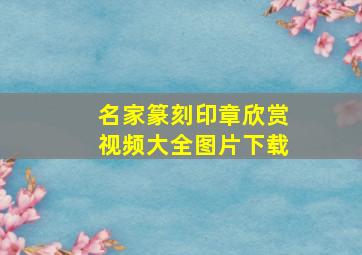 名家篆刻印章欣赏视频大全图片下载