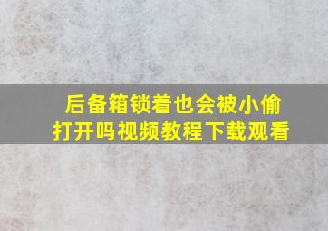 后备箱锁着也会被小偷打开吗视频教程下载观看