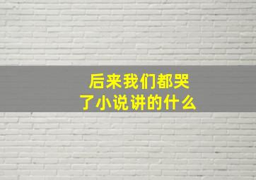 后来我们都哭了小说讲的什么