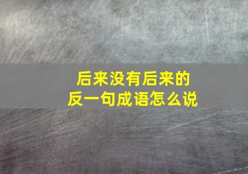 后来没有后来的反一句成语怎么说