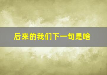 后来的我们下一句是啥