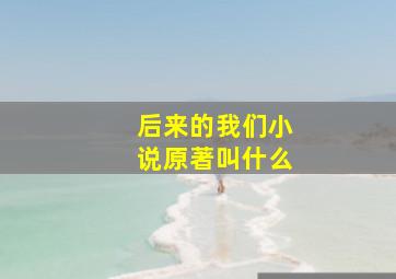 后来的我们小说原著叫什么