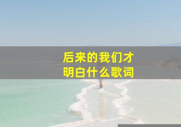 后来的我们才明白什么歌词