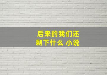 后来的我们还剩下什么 小说