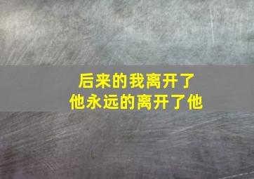 后来的我离开了他永远的离开了他