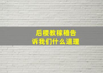 后稷教稼穑告诉我们什么道理