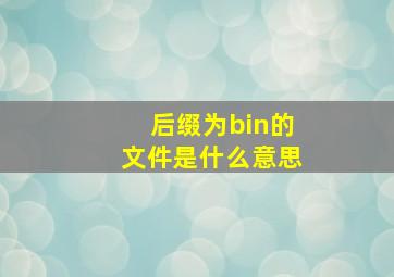 后缀为bin的文件是什么意思