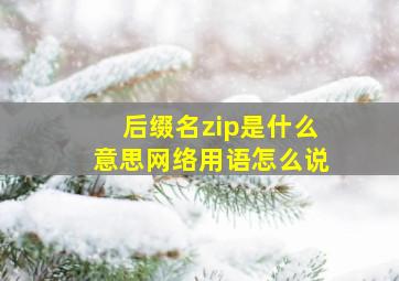 后缀名zip是什么意思网络用语怎么说