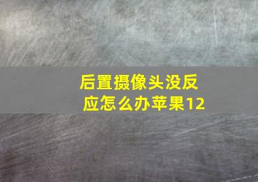 后置摄像头没反应怎么办苹果12