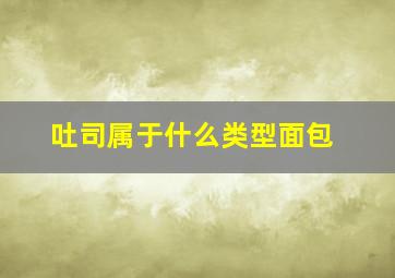 吐司属于什么类型面包