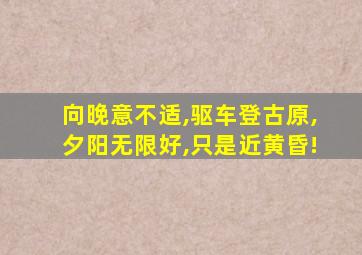 向晚意不适,驱车登古原,夕阳无限好,只是近黄昏!