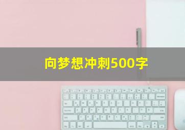 向梦想冲刺500字