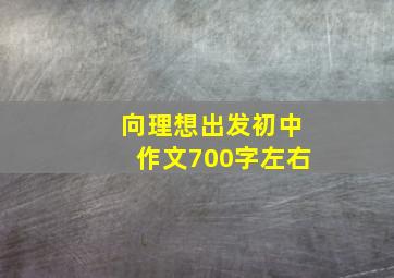 向理想出发初中作文700字左右