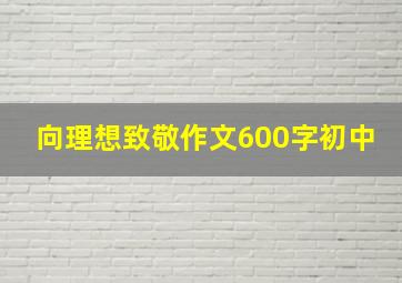 向理想致敬作文600字初中