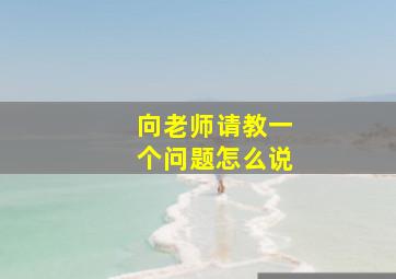 向老师请教一个问题怎么说