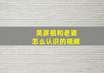 吴彦祖和老婆怎么认识的视频