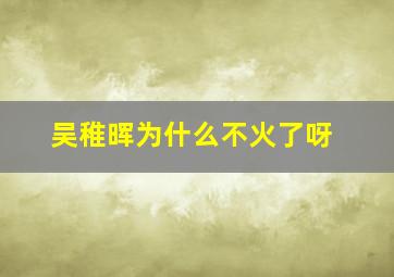 吴稚晖为什么不火了呀