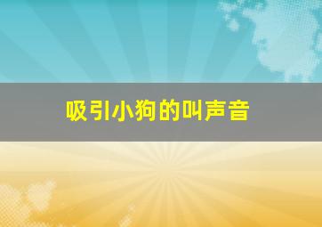 吸引小狗的叫声音