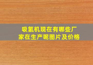 吸氢机现在有哪些厂家在生产呢图片及价格