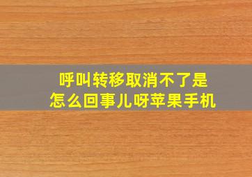 呼叫转移取消不了是怎么回事儿呀苹果手机