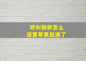 呼叫转移怎么设置苹果取消了