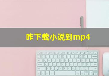 咋下载小说到mp4