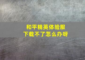 和平精英体验服下载不了怎么办呀