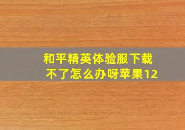 和平精英体验服下载不了怎么办呀苹果12