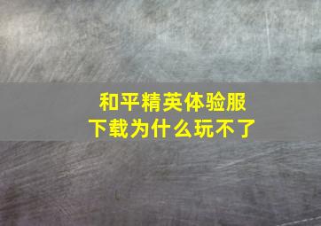 和平精英体验服下载为什么玩不了