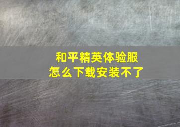 和平精英体验服怎么下载安装不了