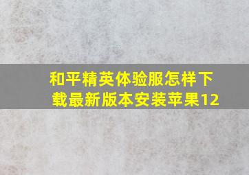 和平精英体验服怎样下载最新版本安装苹果12