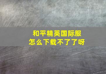 和平精英国际服怎么下载不了了呀