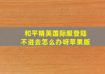 和平精英国际服登陆不进去怎么办呀苹果版