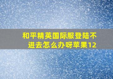 和平精英国际服登陆不进去怎么办呀苹果12