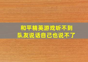 和平精英游戏听不到队友说话自己也说不了