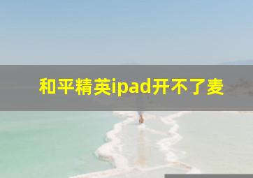 和平精英ipad开不了麦