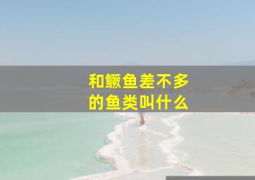 和鳜鱼差不多的鱼类叫什么