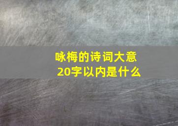 咏梅的诗词大意20字以内是什么